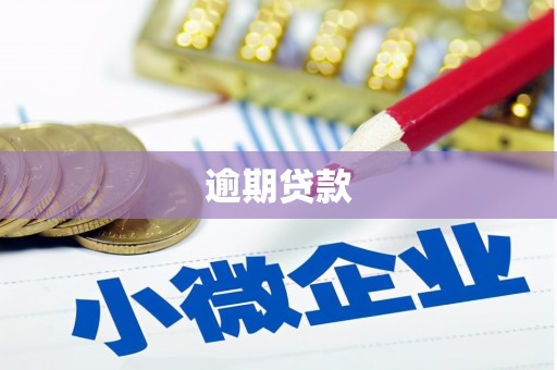 吴中逾期贷款