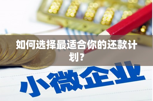 吴中如何选择最适合你的还款计划？