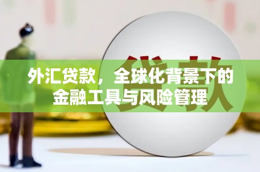 吴中外汇贷款，全球化背景下的金融工具与风险管理