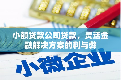 吴中小额贷款公司贷款，灵活金融解决方案的利与弊